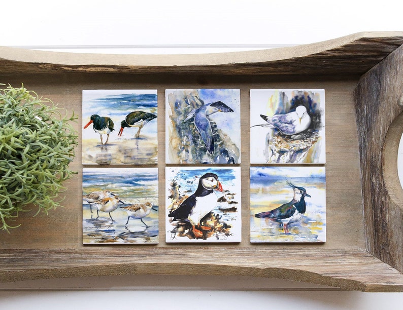 May include: Six square ceramic coasters with watercolor paintings of various birds. The coasters feature a puffin, a seagull, a black-and-white bird with a long beak, two oystercatchers, and two sandpipers.