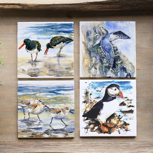 HANDMADE COASTER SET-British Sea Birds design-coastal drinks mats-Puffin-oystercatchers-gull-kittiwake-sanderlings-Lapwing-Naomi Neale Art