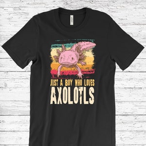 May include: Black t-shirt featuring a pink axolotl illustration against a retro-style striped background. The text "Just a boy who loves axolotls" is printed below the illustration.