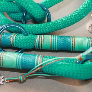 May include: A turquoise blue rope dog leash with brown and green stripes, a silver star charm, and a blue metal clasp. The leash has a silver tag with the text "Paw To You".