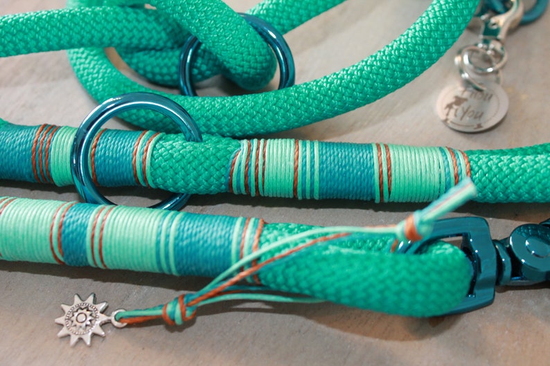 May include: A turquoise blue rope dog leash with brown and green stripes, a silver star charm, and a blue metal clasp. The leash has a silver tag with the text "Paw To You".