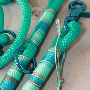 May include: Two teal blue rope leashes with silver metal clasps and a silver star charm. One leash has a striped pattern in teal blue, light green, and brown.
