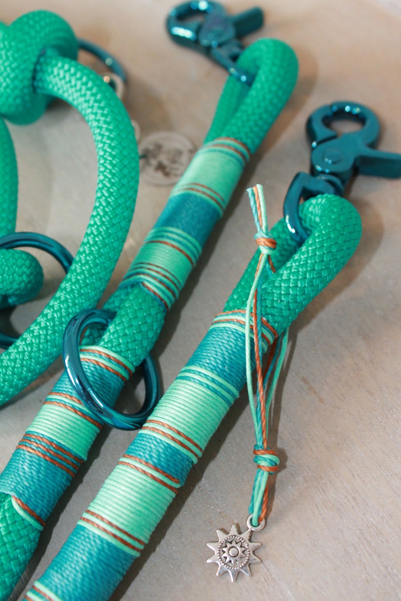 May include: Two teal blue rope leashes with silver metal clasps and a silver star charm. One leash has a striped pattern in teal blue, light green, and brown.