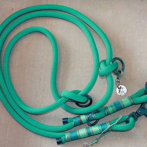 May include: A teal blue double-ended dog leash with two metal clips and a small metal tag with the word "Fly" on it.