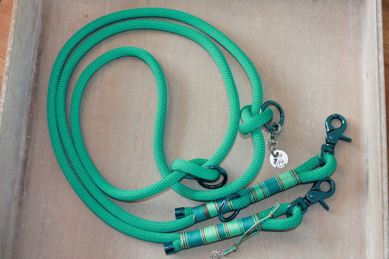 May include: A teal blue double-ended dog leash with two metal clips and a small metal tag with the word "Fly" on it.