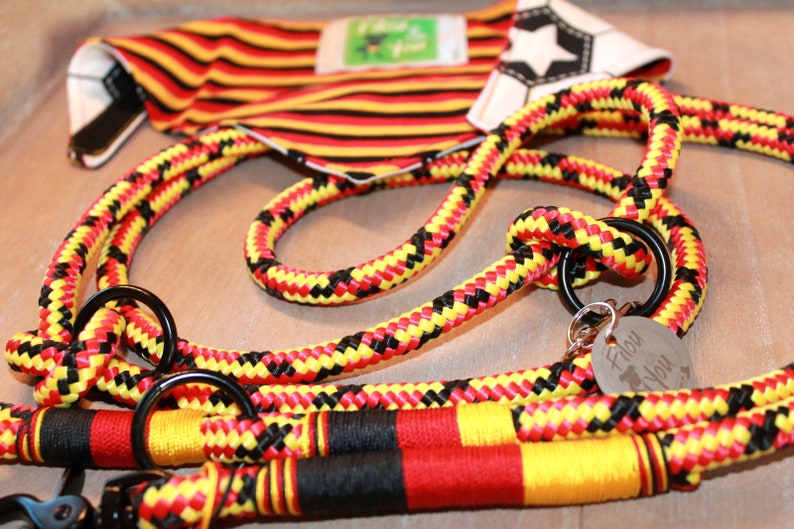 May include: A black, yellow, and red rope dog leash with a black metal clip and a silver tag that says "Flow You".