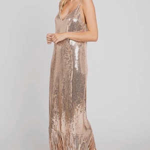 Sequin Dress- Fringe Detail