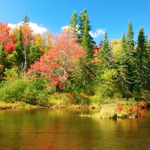 Fall Colors in Algonquin Park