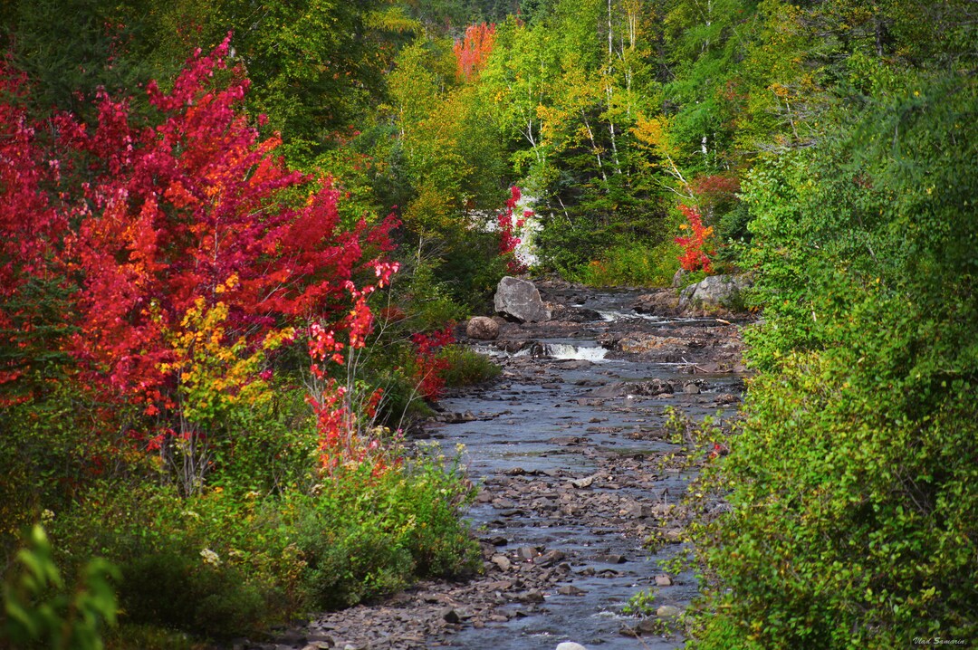 Fall Colors - Etsy