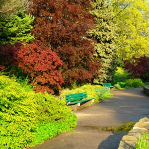 High Park, Toronto. Digital image.