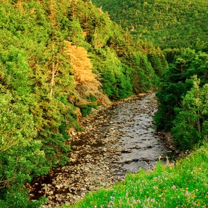 Parque Nacional cape Breton Highlands, Nueva Escocia
