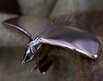 Roman Fly Shaped Brooch from Orkney
