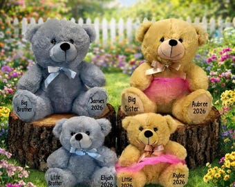 Personalized Teddy Bears-Stuffed Bear-Big Brother Bear-Big Sister Bear-Baby Shower-Baby Gift-Baby Announcement gift-Dance Bear