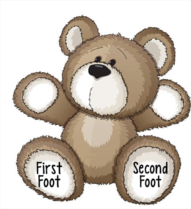 May include: A brown teddy bear with a white belly and white paws. The bear is sitting with its arms outstretched. The words "First Foot" are written on the left paw and "Second Foot" are written on the right paw.