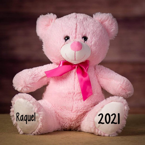 Pink Valentine's Day Plush Animals Personalized Valentines
