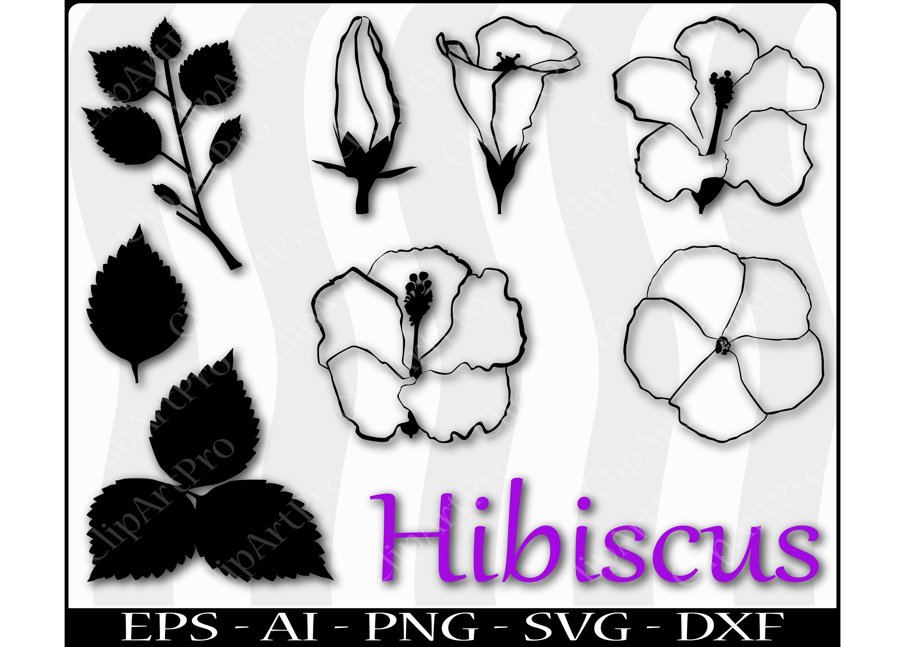 Download Hibiscus Flower Graphic Silhouette Cricut Cutout Vector Ai ...