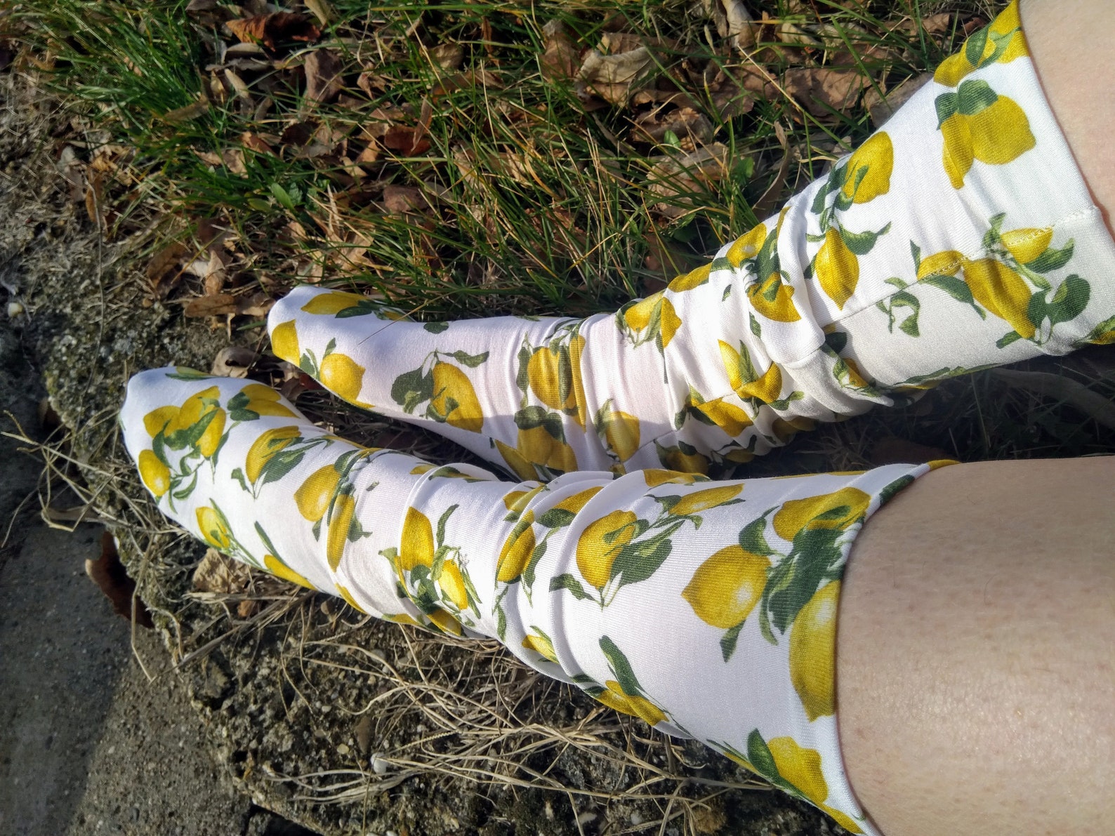 Lemon Socks. Cotton Cute Novelty Fruit Cool Elastic Socks. Etsy