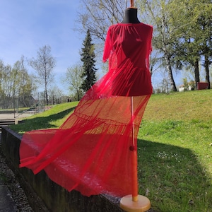 Red Transparent Dress