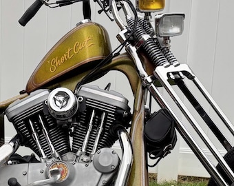 Motorcycle dual headlight bracket