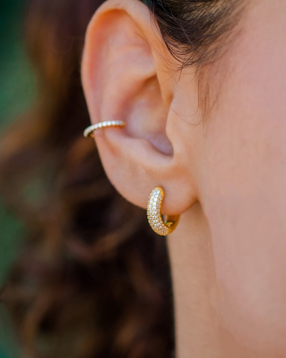 Micro shop huggie earrings