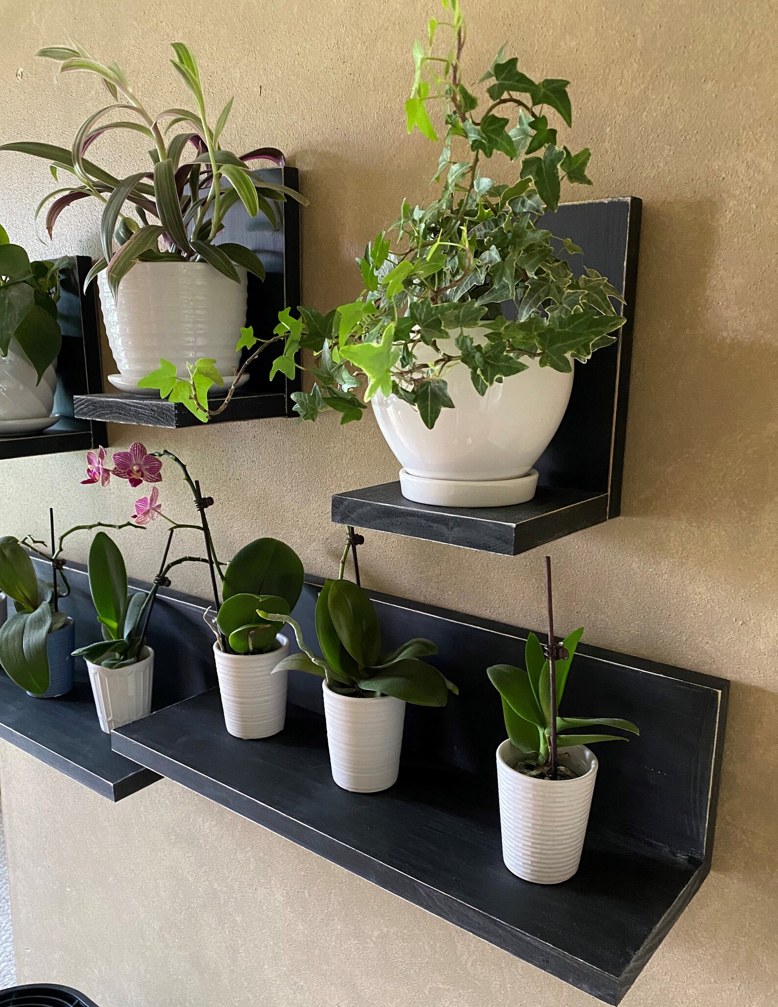Plant Shelf Floating Shelf Shelf Wall Shelf Plant Wall Etsy