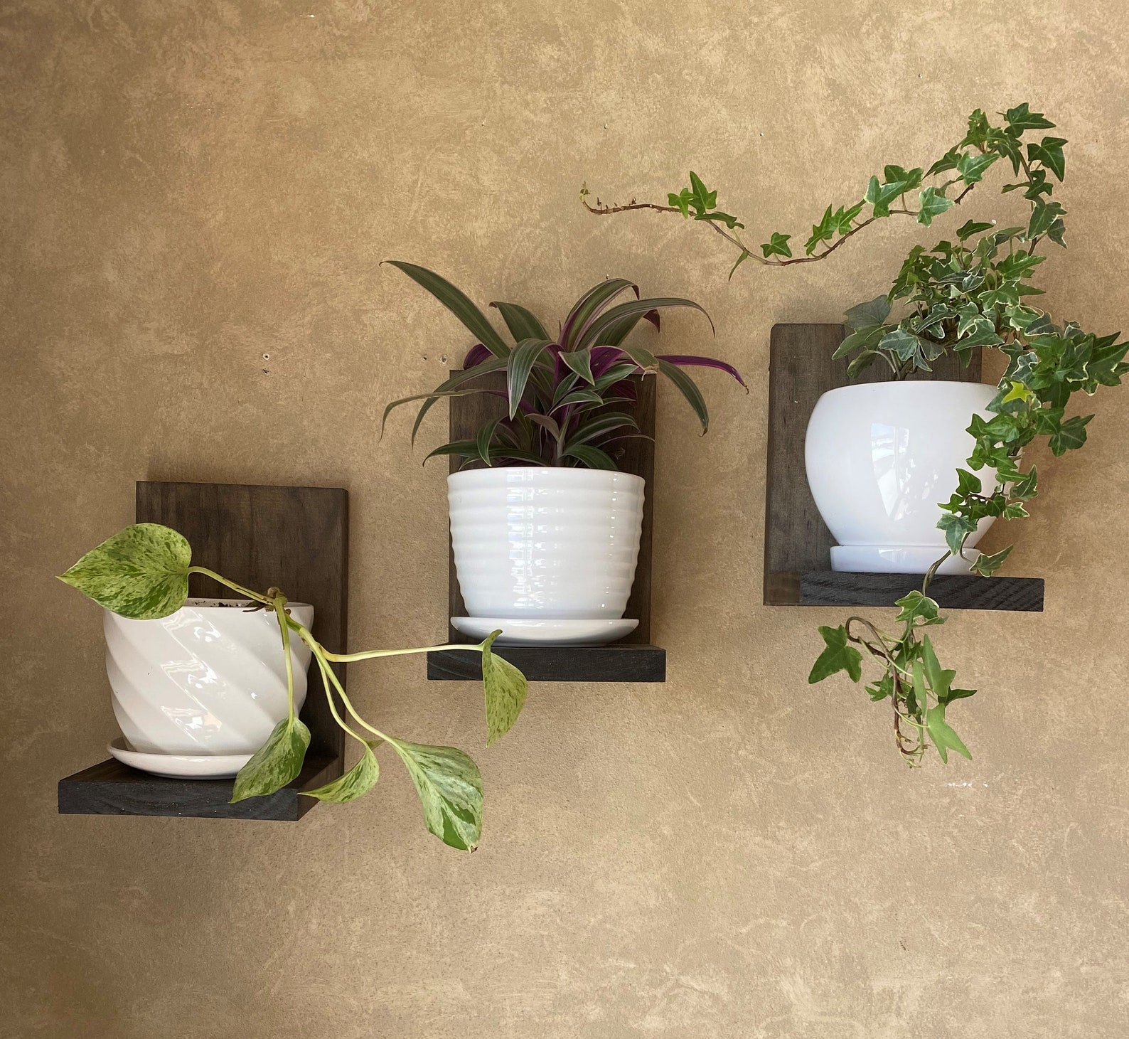 Plant Shelf Wall Shelf Floating Shelf Cat Proof Shelf Etsy