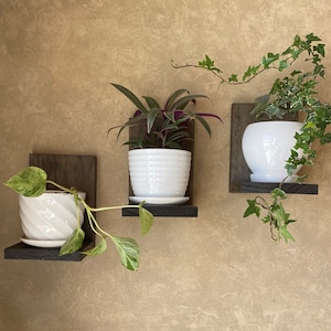 Plant Shelf, wall shelf, floating shelf, cat proof shelf, plant stand, small shelf, hanging plant shelf, wall planter, pot shelf