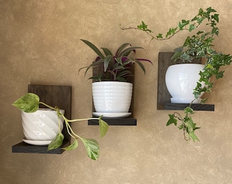 Plant Shelf, wall shelf, floating shelf, cat proof shelf, plant stand, small shelf, hanging plant shelf, wall planter, pot shelf