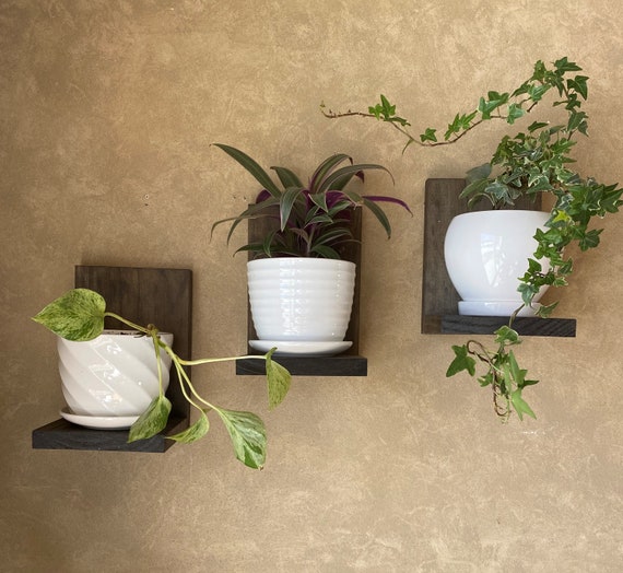 Small Wall Plant Shelf: Cat Proof Floating Planter - Etsy