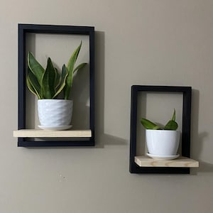 Small Framed Plant Shelf: Cat Proof Floating Wall Planter