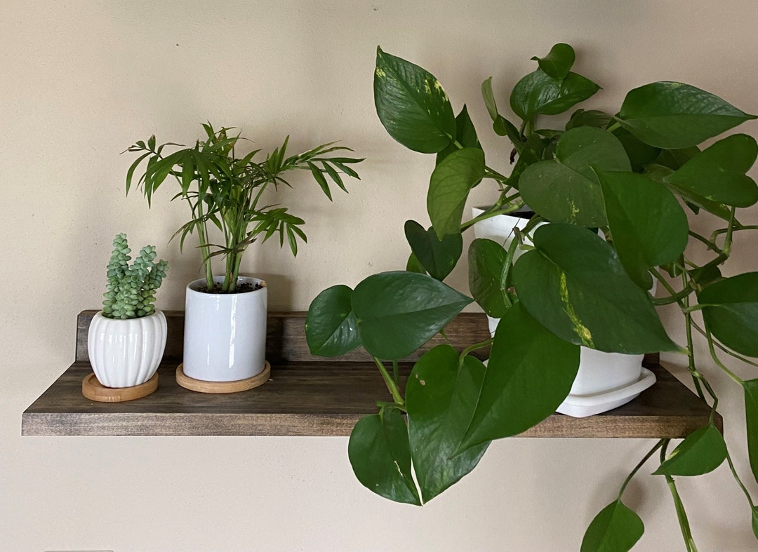 Plant Shelf, Floating Shelf, Picture Shelf, Spice Shelf, Floating Shelf