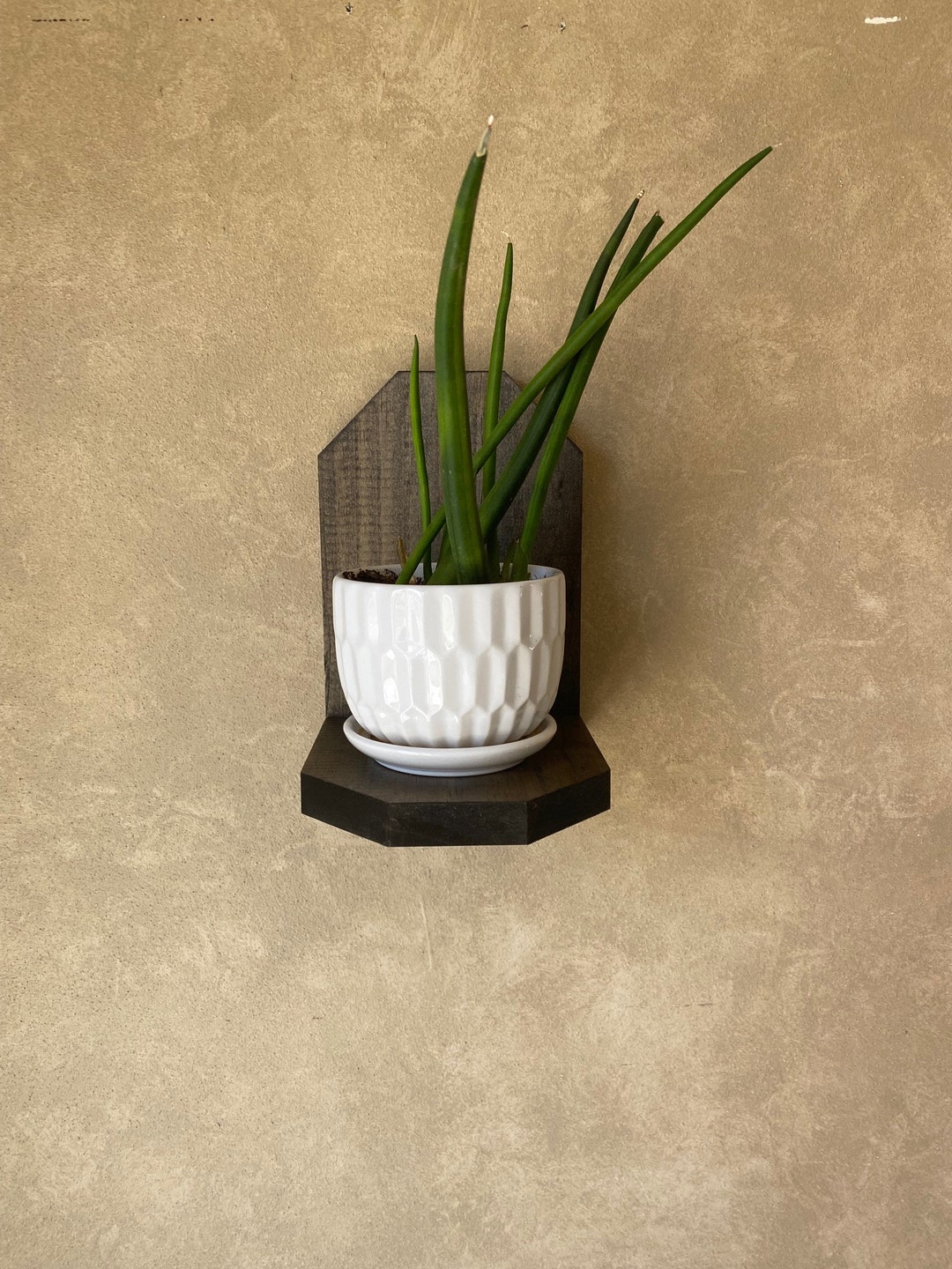 5sided Plant Shelf, Wall Shelf, Floating Shelf, Cat Proof Shelf, Plant