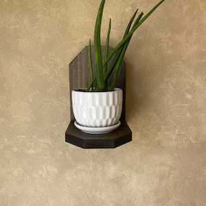 5-sided Plant Shelf, wall shelf, floating shelf, cat proof shelf, plant stand, small shelf, hanging plant shelf, wall planter, pot shelf