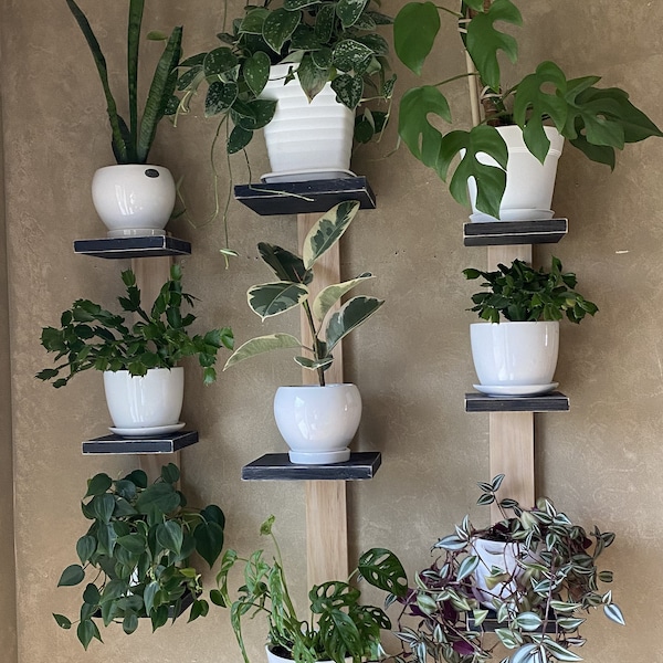 Plant Shelf, Large 3-tiered shelf, floating shelf, cat proof shelf, plant stand, small shelf, hanging plant shelf, wall planter, pot shelf