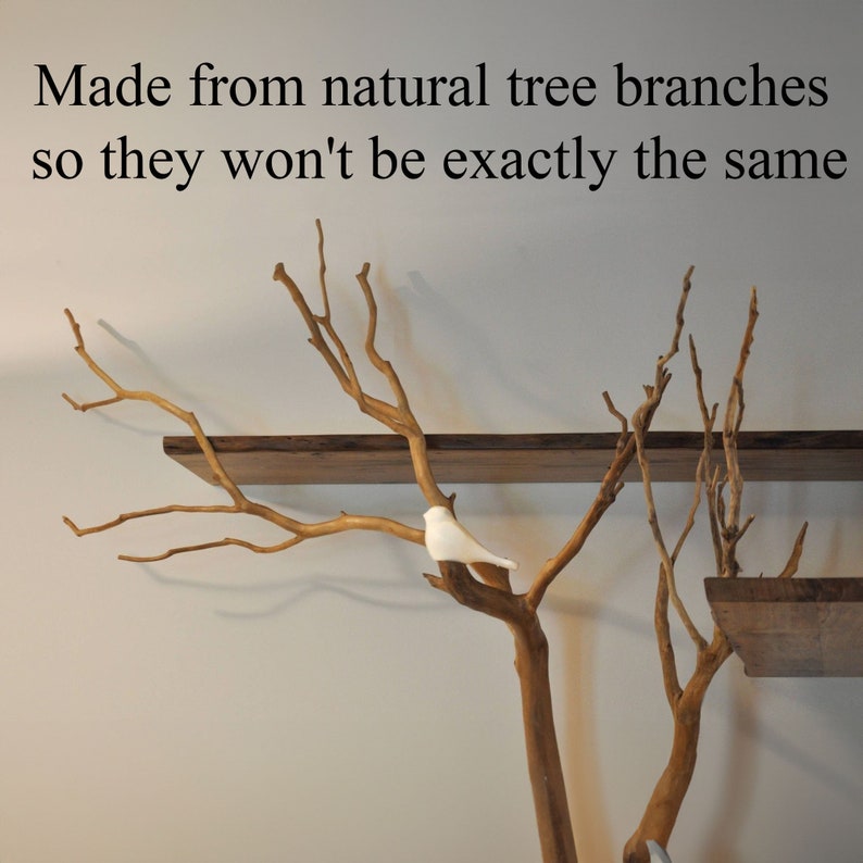 Tree Branches Floating Wood Book Shelves Live Edge Corner Shelf Rustic