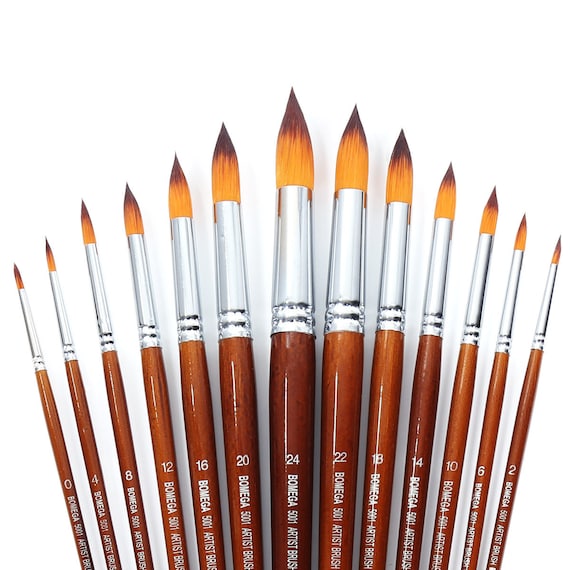 BOSOBO Watercolor Paint Brushes Set 13pcs Professional Long Handle Flat Tip ... 