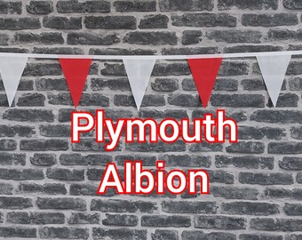 10ft Handmade Rugby Team Colours Fabric Bunting - Plymouth Albion - Single Ply - Pinked Edges - Red & White Flags - White Bias Tape