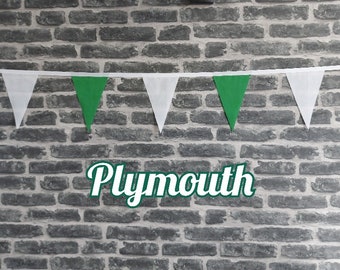 10ft - 50ft Lengths Handmade Football Team Colours Fabric Bunting - Plymouth Argyle - Single Ply - Green + White Flags - White Bias Tape