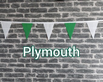 10ft - 50ft Lengths Handmade Football Team Colours Fabric Bunting - Plymouth Argyle - Single Ply - Green + White Flags - White Bias Tape