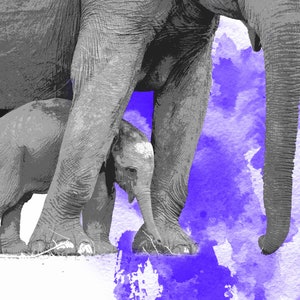 A4 Digital Painting Elephant Watercolour