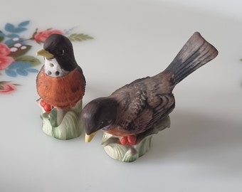 Vintage Fine China American Robin Figurines  Salt and Pepper Pots, Antique Porcelain Robin Birds Cruet Set