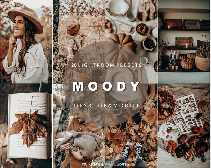 20 Moody presets for Desktop and Mobile Lightroom, Creamy presets, Preset for blogger, Warm Instagram filter, earthy tone