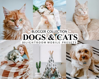 10 Lightroom Presets DOGS AND CATS, Pet presets for Phone, Dog presets, Instagram Filters for pets, Puppy Preset, Kitten Photo Filter