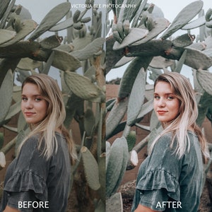 BEE FREE Mobile Lightroom Presets: Travel Influencer Filters (DNG) image 8