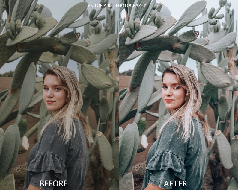 BEE FREE Mobile Lightroom Presets: Travel Influencer Filters (DNG) image 8