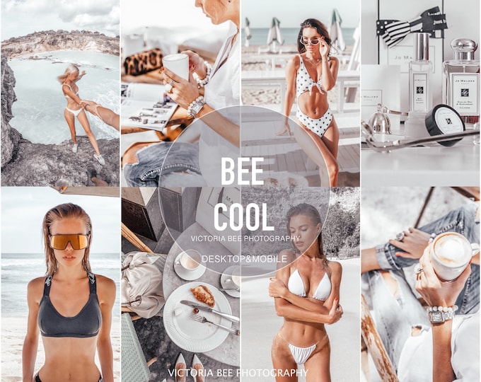 5 Lightroom Mobile Presets BEE COOL / Gray Minimal Lightroom Preset / Travel Ash Blogger / Instagram Lifestyle Fashion Photography