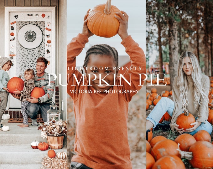 20 Mobile  Lightroom Presets PUMPKIN PIE, Autumn Mobile Preset  Lightroom, Presets for Fall Season, Desktop Presets for Bloggers