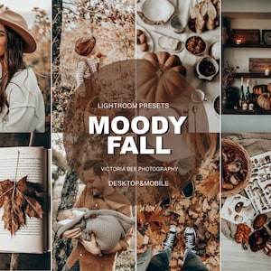 20 Moody Fall Presets | filters for Autumn, Preset for season blogger, Warm Instagram, earth tone, VSCO filter, Instagram Presets