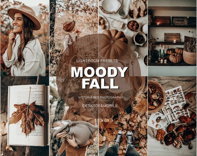 20 Moody Fall Presets | filters for Autumn, Preset for season blogger, Warm Instagram, earth tone, VSCO filter, Instagram Presets