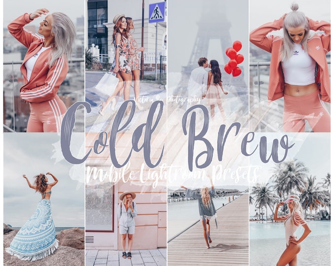 5 Lightroom Mobile Presets COLD BREW Pale Grey Tones Preset for Bloggers Silver Mood Mobile Preset Cool Instagram filter